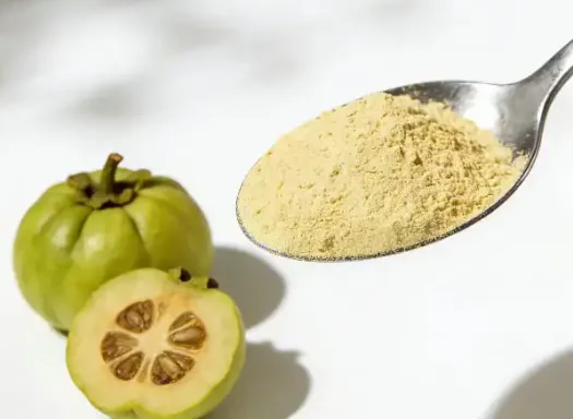 SodaSlim ingredients infographic featuring natural weight loss compounds